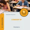 Apostila Pedreiro Processo Seletivo COMDERP SP 2026
