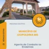 Apostila Agente de Combate às Endemias Município de Leopoldina MG 2026