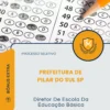 Apostila Diretor De Escola Da Educação Básica Prefeitura de Pilar do Sul SP 2026