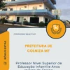 Apostila Professor Nível Superior de Educação Infantil e Anos Inicias do Ensino Fundamental Prefeitura de Colniza MT 2026